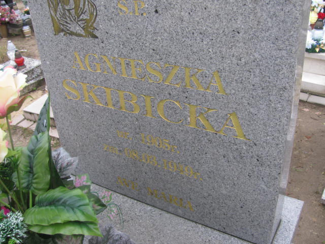 Agnieszka Skibicka 1904 Lubaczów Mokrzyca Zakład usług - Grobonet - Wyszukiwarka osób pochowanych