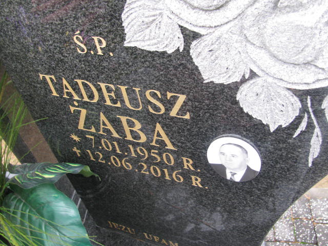 Tadeusz Żaba 1950 Lubaczów Mokrzyca Zakład usług - Grobonet - Wyszukiwarka osób pochowanych