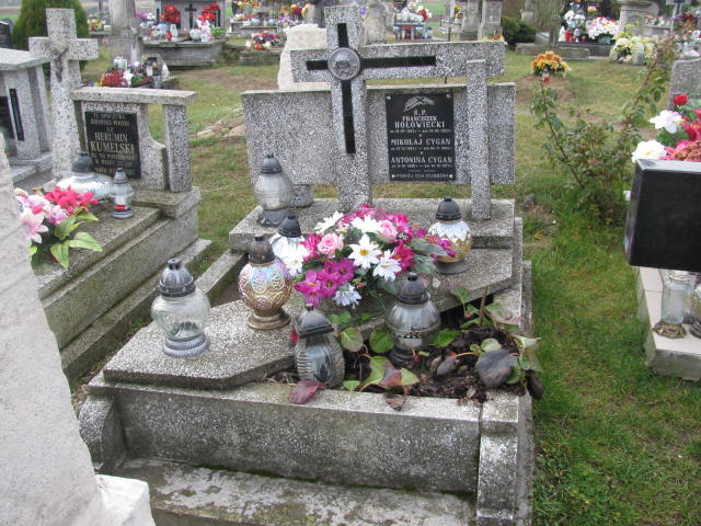 Mikołaj Cygan 1884 Lubaczów Mokrzyca Zakład usług - Grobonet - Wyszukiwarka osób pochowanych